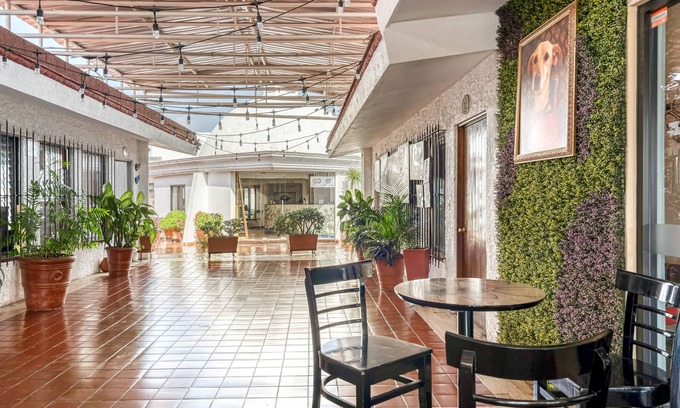 Tonala Hotel | Hotel Arana Tonalá