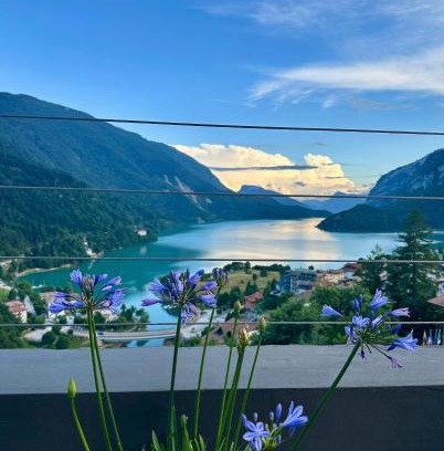 Molveno Hotel | Hotel Aurora