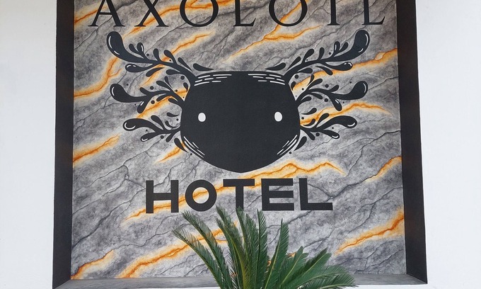 Puerto Escondido Hotel | Hotel Axolotl