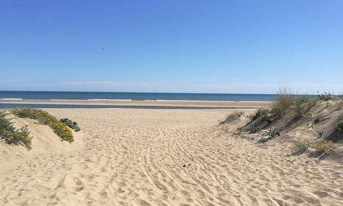 Ayamonte Hotel | Hotel Ayamonte Center