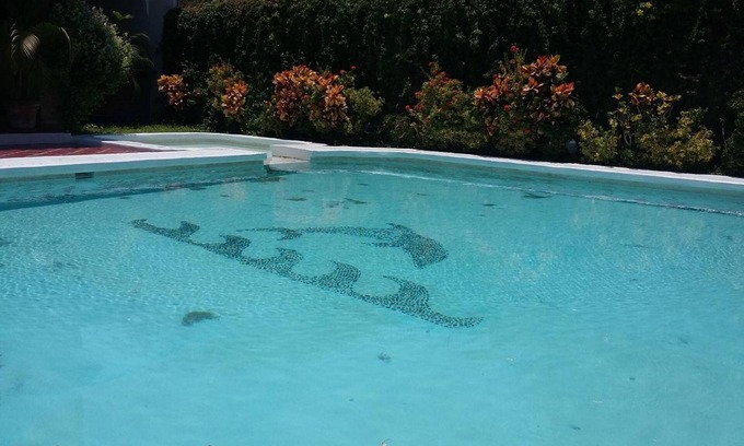 L Hotel | Hotel Balcon Gueela