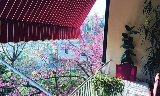 Sauk Hotel | Hotel Baron