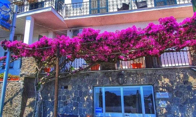 Succhivo House | Hotel Bellavista