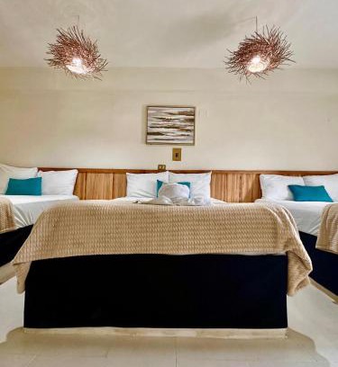 Colonia Centro Hotel | Hotel cacao spa cozumel
