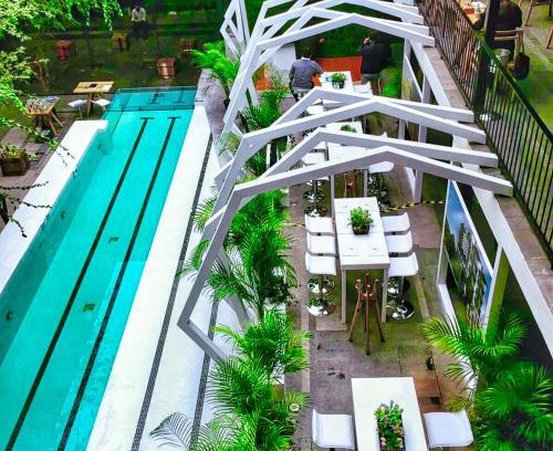 Reforma Hotel | Hotel Carlota