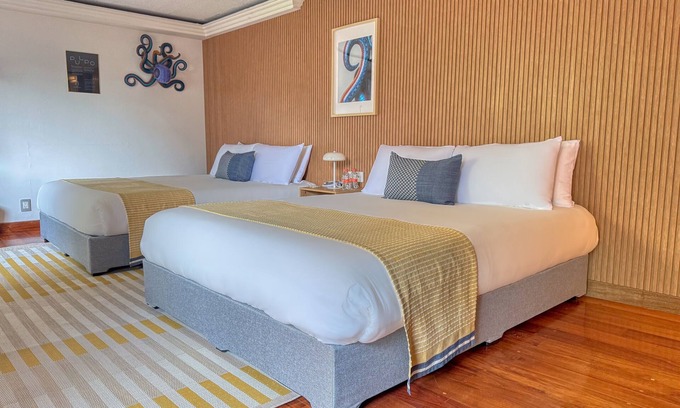 Coyoacan Hotel | Hotel Casa Alebrije: Suite Deluxe Doble Queen - 03