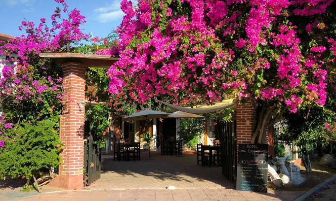 San Pedro Pochutla Hotel | Hotel Casa Bugambilias