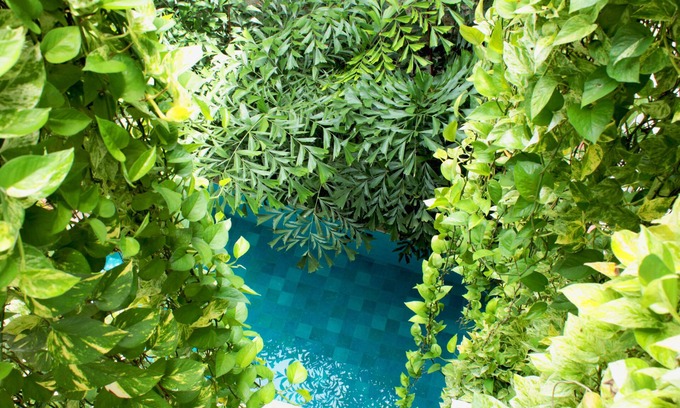 Centro Hotel | Hotel Casa Don Sancho by Mustique