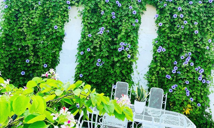 Managua Bed & Breakfast | Hotel Casa San Juan