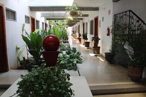 Tuxtla Gutierrez Hotel | Hotel Casablanca Tuxtla