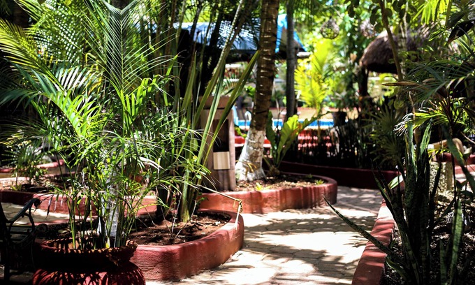 Villa Juarez Cabin | HOTEL COCOS CABAÑAS - QUEEN BOUTIQUE AMARILLA