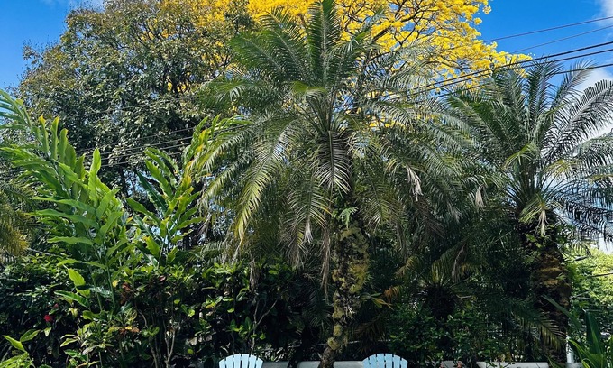 Manuel Antonio Bed & Breakfast | Hotel Colibri