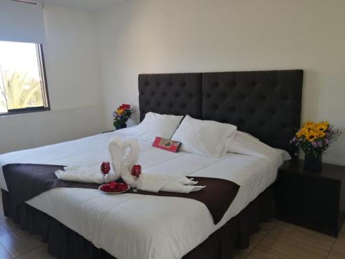 Yanahuara House | Hotel Cortaderas Arequipa