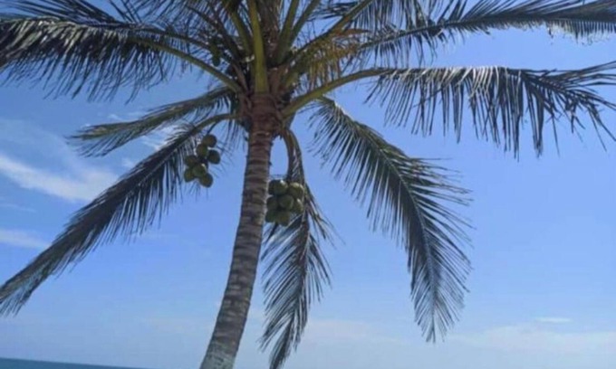 Tecolutla Hotel | Hotel Costa Belle