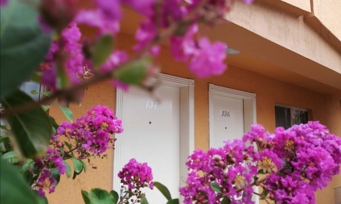 Chihuahua Hotel | Hotel El Cason and Suites