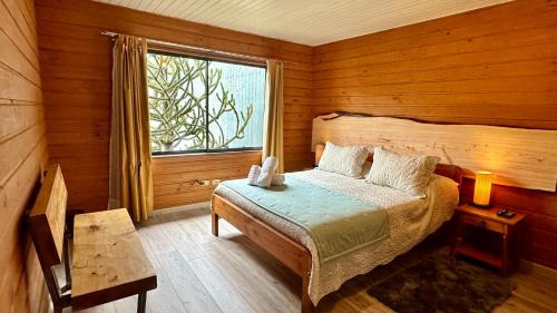 Pucon Hotel | Hotel El Coihue