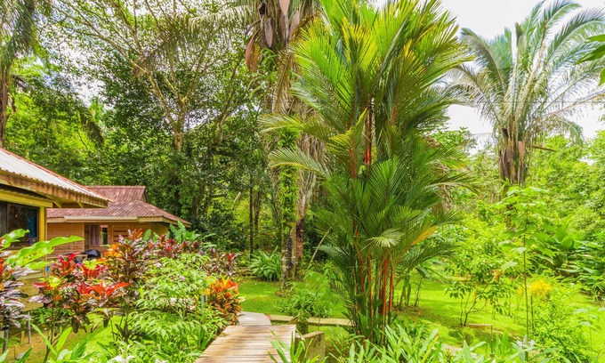 Ojochal Bed & Breakfast | Hotel el Mono Feliz