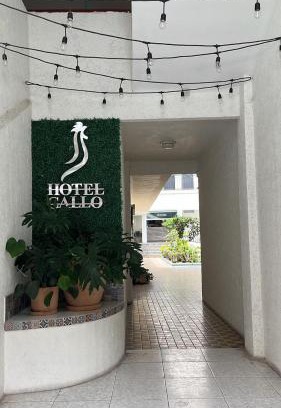 Reforma Hotel | Hotel Gallo