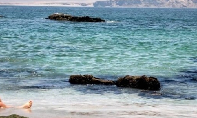 Pisco Hotel | Hotel Gran Palma Paracas
