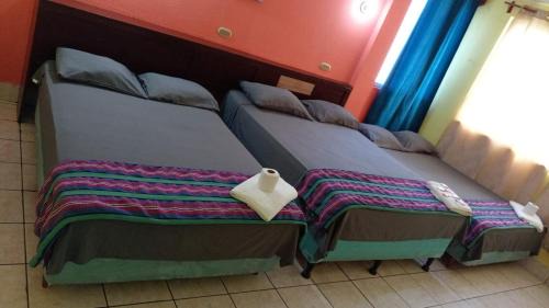 Flores Hotel | Hotel Green Monkey