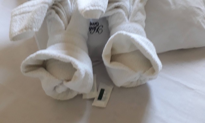 Centro Hotel | Hotel Gringos