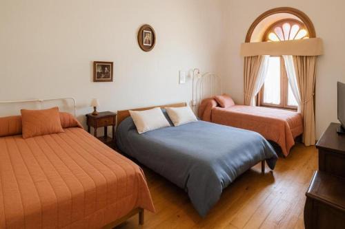 Vicuna Bed & Breakfast | Hotel Halley - Vicuña, Valle de Elqui