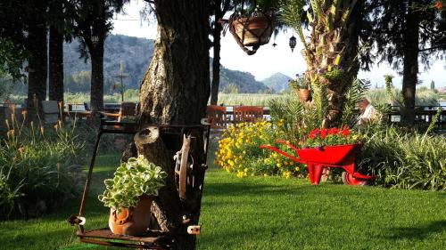 Dalyan City Center House | Hotel Happy Caretta