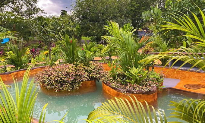 Penas Blancas Hotel | Hotel Heliconias Nature Inn & Hot Springs