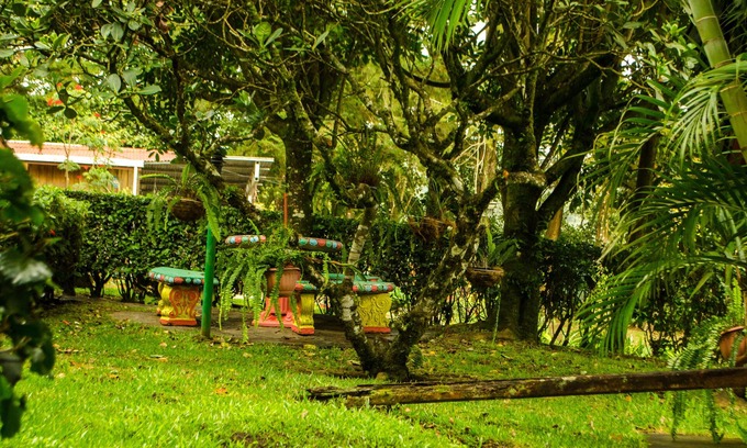 Monteverde Hotel | Hotel Holístico Monteverde