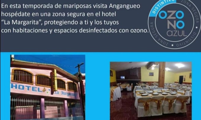 Mineral de Angangueo Hotel | Hotel La Margarita