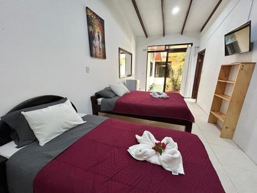 Monteverde Bed & Breakfast | Hotel las Ardillas Monteverde