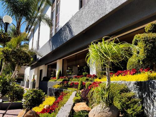 Zona Minerva Hotel | Hotel Las Pergolas