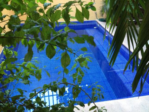 Zihuatanejo Hotel | Hotel Las Salinas
