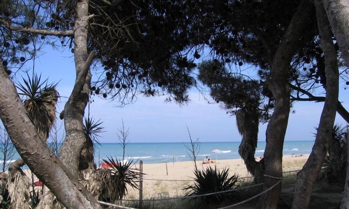 Pineto Hotel | Hotel Maria