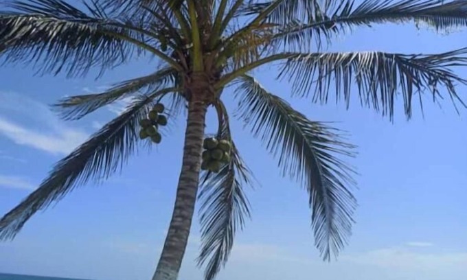 Tecolutla Hotel | Hotel Mariam