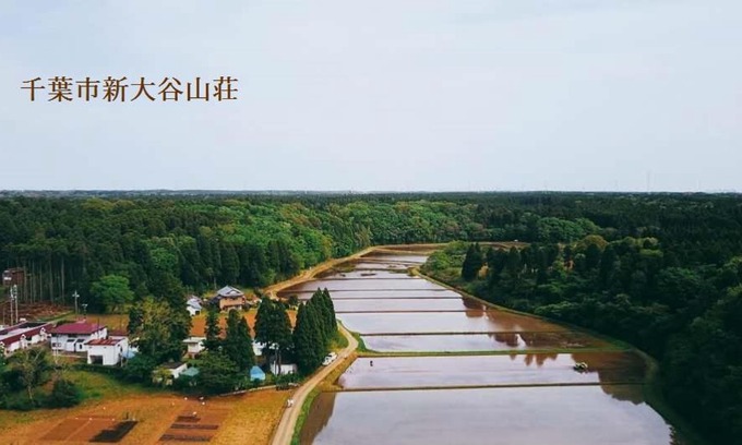 Wakaba Hotel | Hotel New Otani
