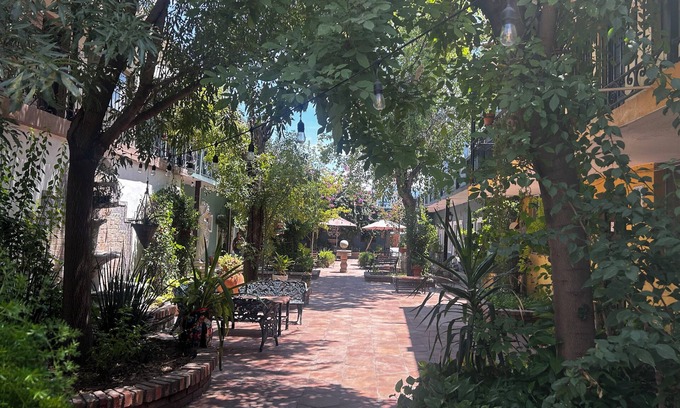 Monclova Hotel | Hotel Olimpia Centro Histórico