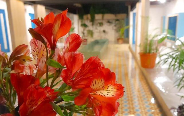 Del Cerrillo Hotel | Hotel Pepen