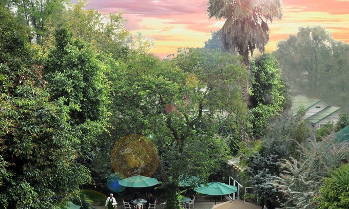 San Miguel Chapultepec Hotel | Hotel Park Villa