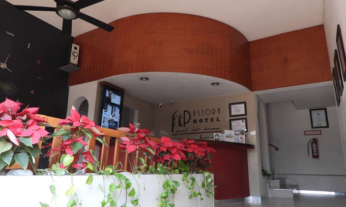 Cordoba Hotel | HOTEL PASTORA