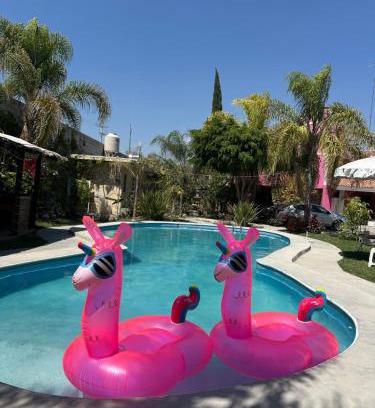 Tehuacan Hotel | Hotel Pink TH