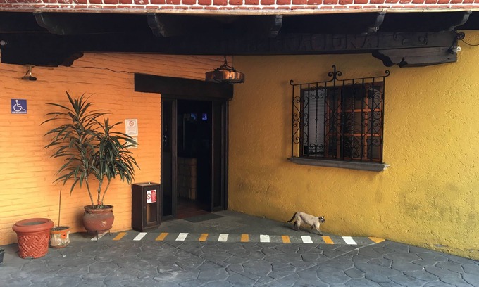 Cuauhtemoc Hotel | Hotel Playa Internacional
