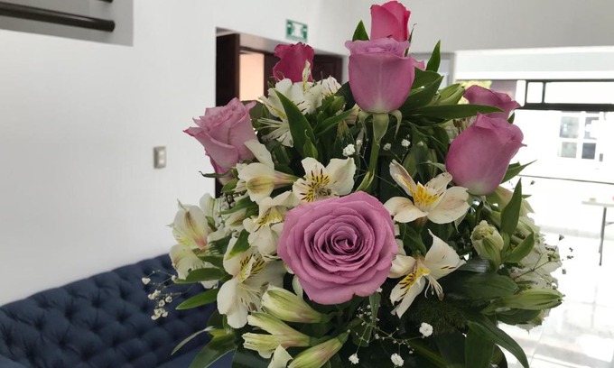 Tuxtla Gutierrez Hotel | Hotel Plaza Amalia