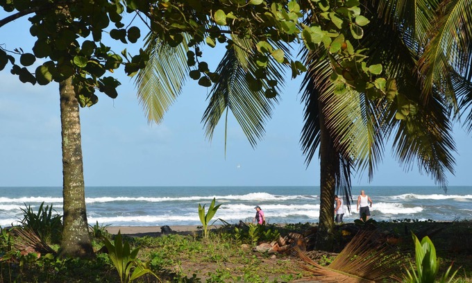 Tortuguero Hotel | Hotel Pura Natura Beachfront Tortuguero