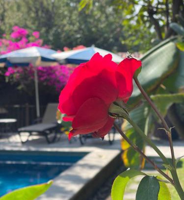 Santa Maria Hotel | hotel quinta real las palmas malinalco