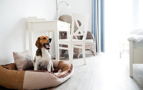 Elisabeth-Sophien-Koog Hotel | Hotel, Restaurant, Café Pharisäerhof - Nordseeurlaub mit Hund
