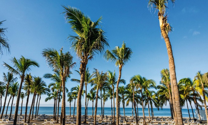 Flamingos Resort | Hotel Riu Vallarta - All Inclusive