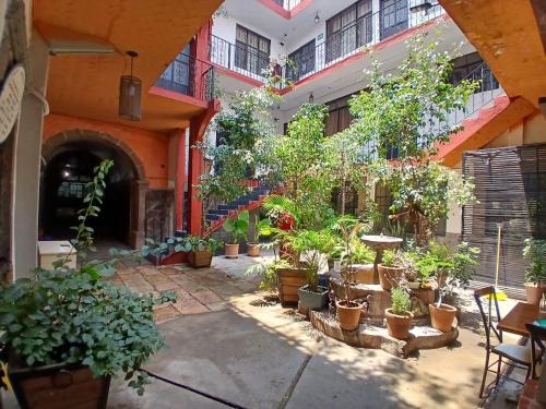 Zona Centro Apartment | HOTEL SARITA & APARTAMENTOS CENTRO histórico