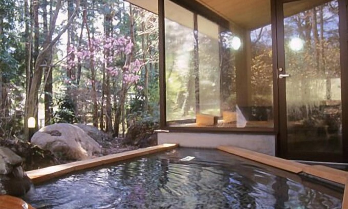 Nikko Hotel | Hotel Seikoen