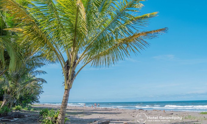 Tortuguero Hotel | Hotel Serendipity tortuguero